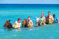 Horses Swimming High Res